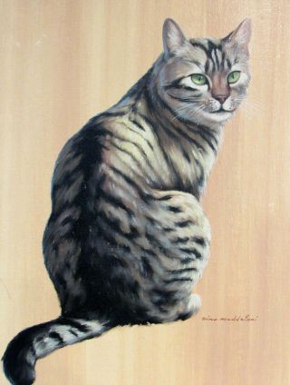 VINTAGE OIL PAINTING OF CAT BY ZINO MADDALONI 3