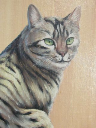 VINTAGE OIL PAINTING OF CAT BY ZINO MADDALONI 4