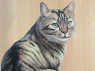 VINTAGE OIL PAINTING OF CAT BY ZINO MADDALONI 7