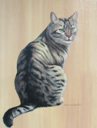 VINTAGE OIL PAINTING OF CAT BY ZINO MADDALONI 8