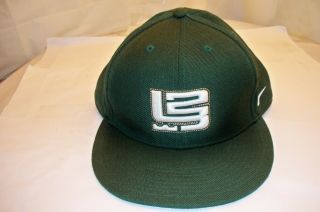 Vintage Nike Lebron James Green Colored Hat Cap Size 7 1/2 Lion Crest Logo