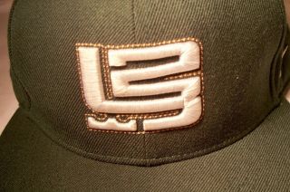 Vintage Nike Lebron James Green Colored Hat Cap Size 7 1/2 Lion Crest Logo 2