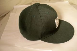 Vintage Nike Lebron James Green Colored Hat Cap Size 7 1/2 Lion Crest Logo 4