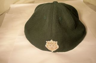Vintage Nike Lebron James Green Colored Hat Cap Size 7 1/2 Lion Crest Logo 5
