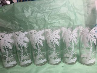 Palm Tree Tumblers Set Of 6 Vintage Drinking Glasses,  Glass Bowl/Cocktail Set 4