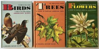 Golden Nature Guide Pristine Set Of 3 Vtg 1964 Illustrated Hardcover Books | Vg,