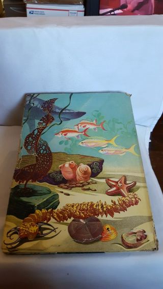 Exploring Under The Sea Sam Hinton 1st Edition 1957 Illustrated by Rudolf Freund 4