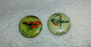 Vintage Audubon Society Pin Back Buttons