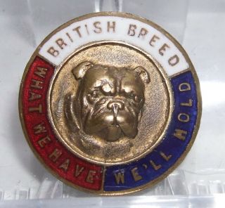 Vintage Enamel Badge British Breed What We Have We 