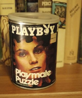 VICKI PETERS Vintage 1972 Playboy Playmate Centerfold Jigsaw Puzzle 3