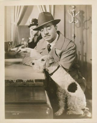 William Powell Asta Terrier Dog Vintage Song Of The Thin Man Mgm Photo