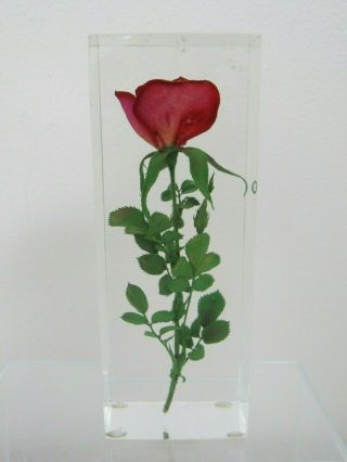 Vintage Signed W.  Rolfe Real Red Rose Lucite Paperweight 5 "