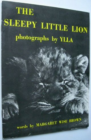 The Sleepy Little Lion Photos Ylla Margaret Wise Brown Vintage Paperback 1979