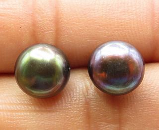 925 Sterling Silver - Vintage Petite Smooth Abalone Pearl Stud Earrings - E4857
