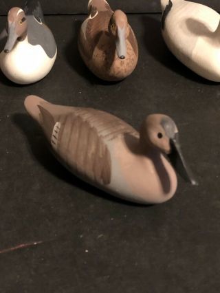 Bob Jobes Havre De Grace Md Hand Carved Miniature Duck Decoy Canvasback Hen