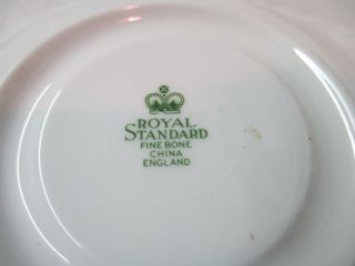 Vintage England Royal Standard Fine Bone China Cup & Saucer rust paisley chintz 5