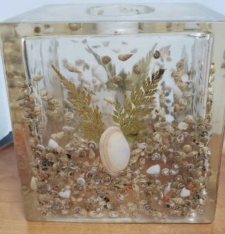 VTG 80 ' s Acrylic lucite tissue box Holder natural Sea Shell Motif thick & heavy 2