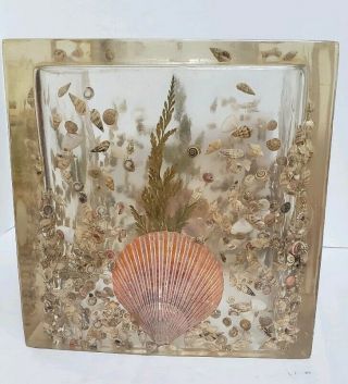 VTG 80 ' s Acrylic lucite tissue box Holder natural Sea Shell Motif thick & heavy 3