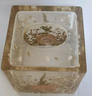 VTG 80 ' s Acrylic lucite tissue box Holder natural Sea Shell Motif thick & heavy 4