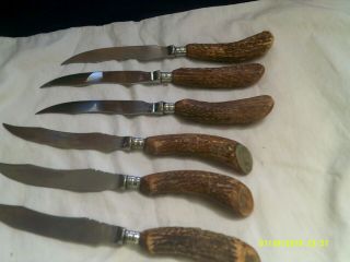 Brooks Brothers Vintage Stag Handled Steak Knives - Set Of 6