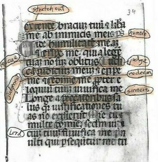 1 Leaf Illuminated Latin Book of Hours Vellum Manuscript Dating to 15th Century 3