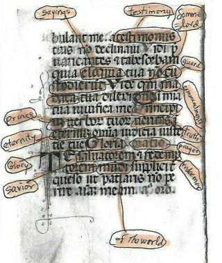 1 Leaf Illuminated Latin Book of Hours Vellum Manuscript Dating to 15th Century 4