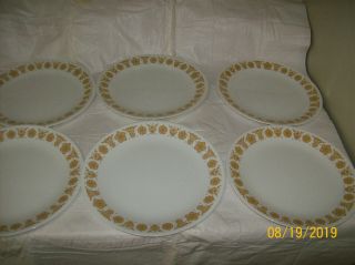 Vintage Corelle Butterfly Gold 10 1/4 " Dinner Plates - Set Of 6