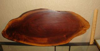 Vtg Rustic Polished Long Oval Wood Slab Wall Decoration,  Table,  Etc 28 X 12