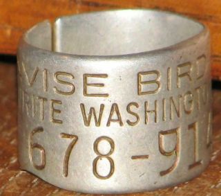 Vintage Avise Write Washington Dc Authentic Goose Leg Bird Band 678 - 91412