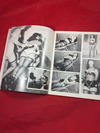 Vtg 1979 Bettie Page Private Peeks V.  2 Irving Klaw Heels Nylons Girlie Pinups 4