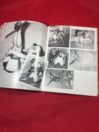 Vtg 1979 Bettie Page Private Peeks V.  2 Irving Klaw Heels Nylons Girlie Pinups 6