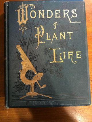 1883 Wonders Of Plant Life Under The Microscope