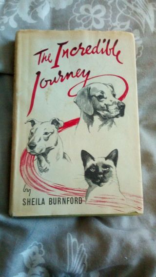 Vintage Book: The Incredible Journey Sheila Burford 1961 Dust Cover