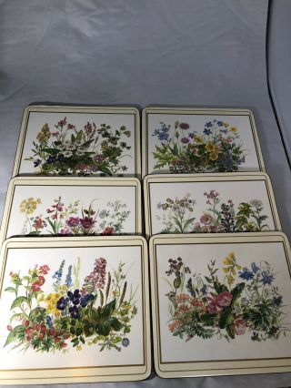 Vintage Pimpernel Cork Placemats,  Flower,  Floral Garden - Set Of 6 - England