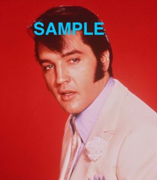 Vintage Candid Elvis Presley 35mm Transparency The Trouble With Girls