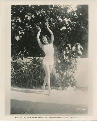 Yvonne De Carlo Age 16 Swimsuit Vintage 1946 Universal Cheesecake Photo