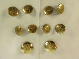 Orvis Vintage Blazer Buttons Set 10 Pc Gold Tone Brass Replacement