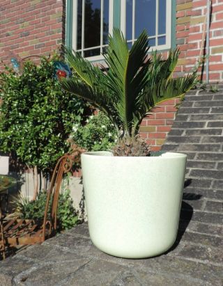 Vintage Bauer - California Pottery Large Green Speckled Planter Pot
