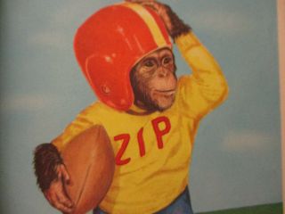 Monkey Funny Humor Children’s Book Elf Zippy Goes To School Vintage 1954
