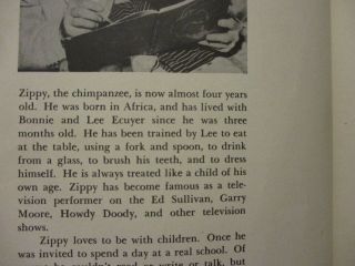 Monkey Funny Humor Children’s Book Elf Zippy Goes to School Vintage 1954 4