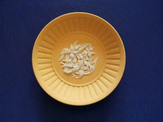 Vintage Wedgwood Yellow White Jasper Ware Plate Native Flowers 11.  5 Cm
