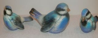 3 Vintage Goebel Blue Birds Cv 72 73 74 W.  Germany,