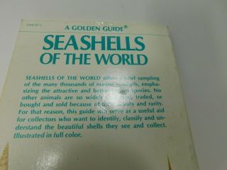 SEASHELLS OF THE WORLD,  A VINTAGE GOLDEN GUIDE BY R.  TUCKER ABBOTT - 1962 4