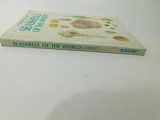 SEASHELLS OF THE WORLD,  A VINTAGE GOLDEN GUIDE BY R.  TUCKER ABBOTT - 1962 5
