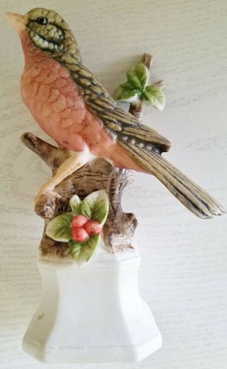 T S C Bird Robin Red Breast Bird On Branch With Base 6 Inches Vintage