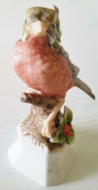 T S C Bird Robin Red Breast Bird on Branch with Base 6 Inches Vintage 4