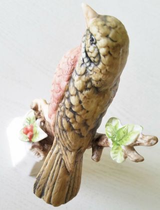T S C Bird Robin Red Breast Bird on Branch with Base 6 Inches Vintage 5