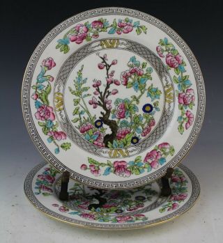 Pair Vintage Signed Aynsley Indian Tree Porcelain Salad Dinner Plates