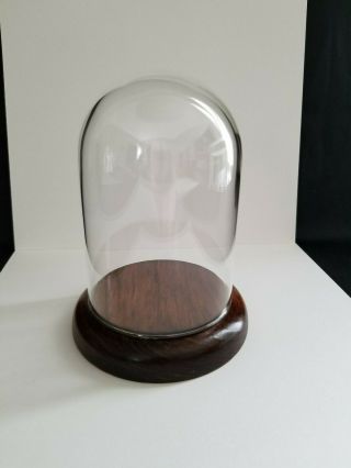Vintage Small Glass Dome Collectibles Display On Wooden Base 5.  25 " H X 4 " W - 1