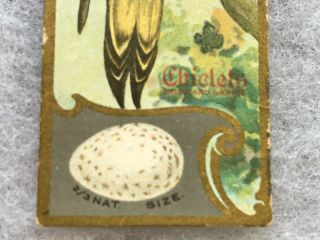 Chiclets Bird Series “the Flicker” Vintage Collector Card,  Sen Sen Chiclet Co. 2